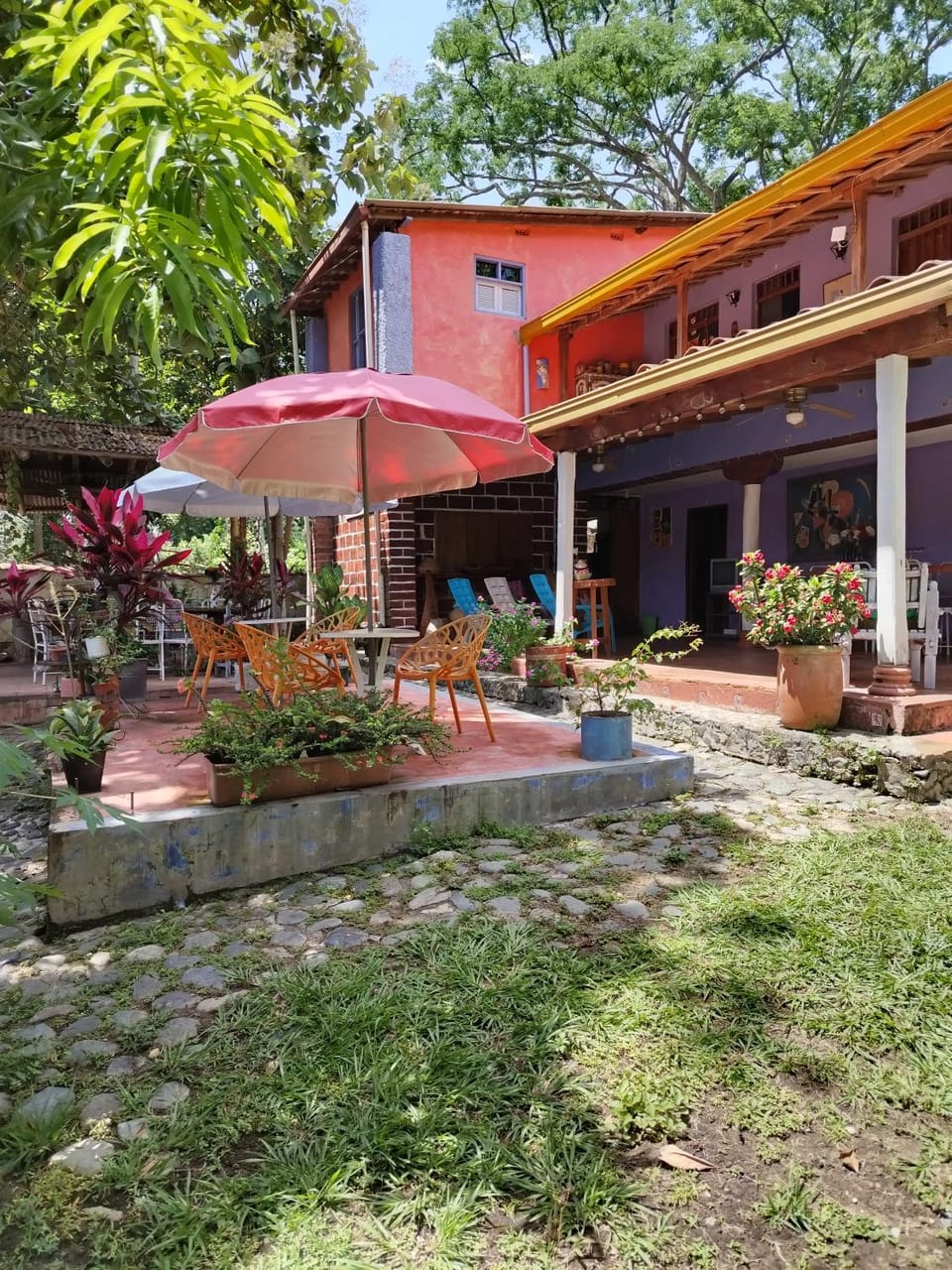 Selvablanca Hostel Hostel in Antioquia