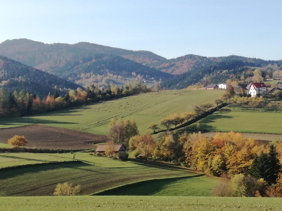 "RYVILLA" Dom na Wilkówce Farm Stay in Lesser Poland Voivodeship