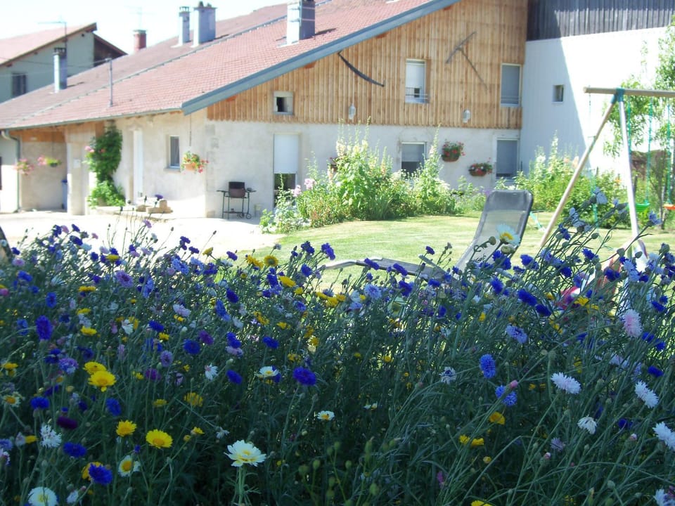 Gîte de la sauge House in Jura