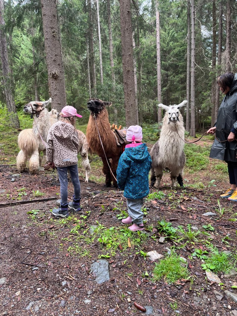 Bruggerhof House in Trentino-South Tyrol