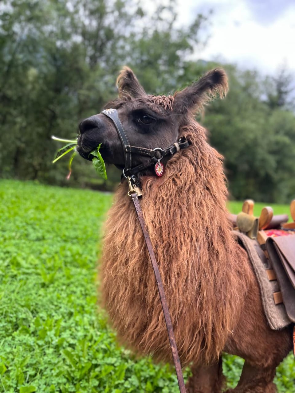 Bruggerhof House in Trentino-South Tyrol