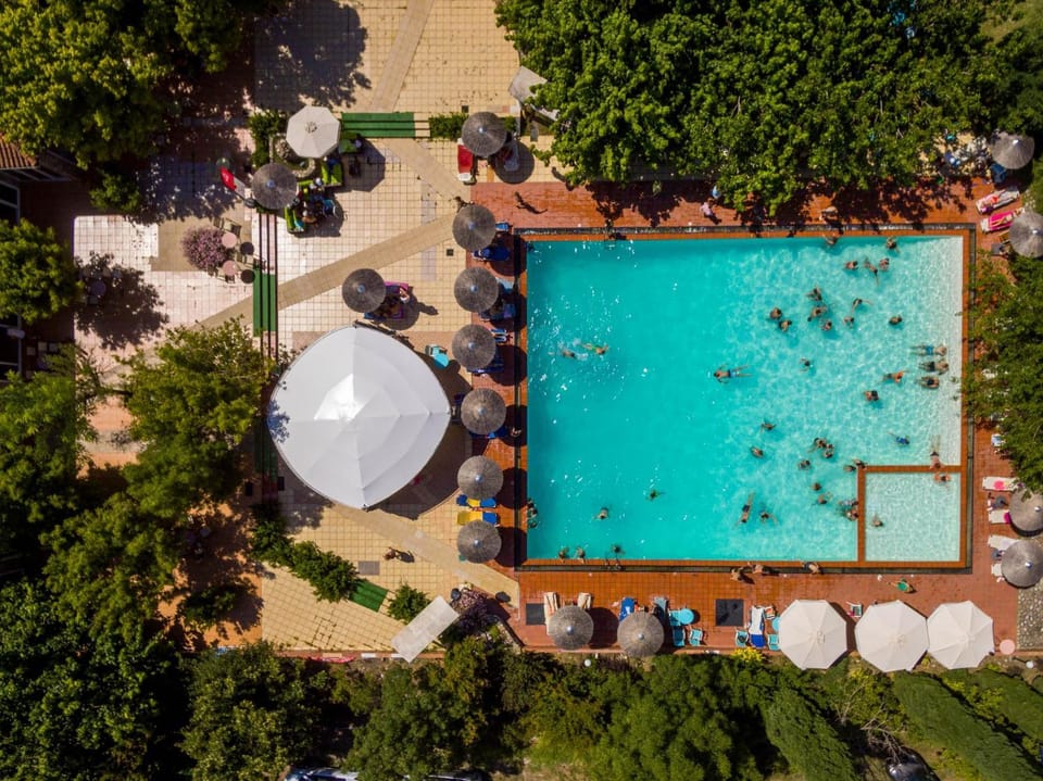 Day, Natural landscape, Bird's eye view, Garden, Garden view, Pool view, Swimming pool, sunbed
