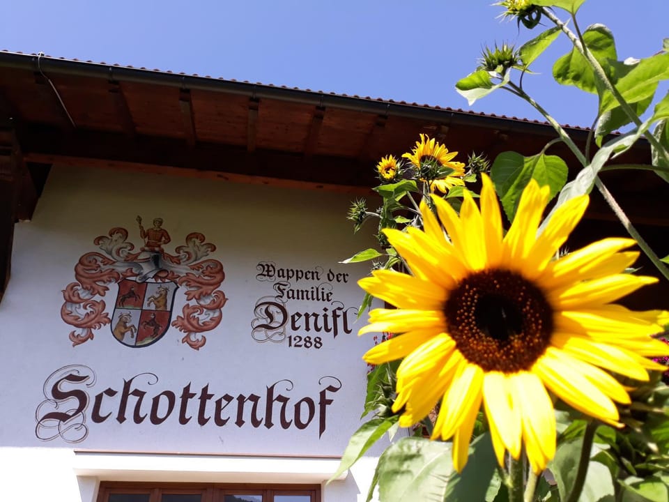 Schottenhof Farm Stay in Tyrol
