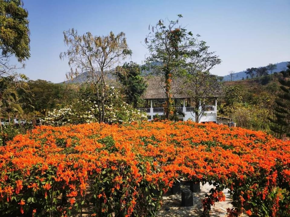 Chez Piera Resort Resort in Laos
