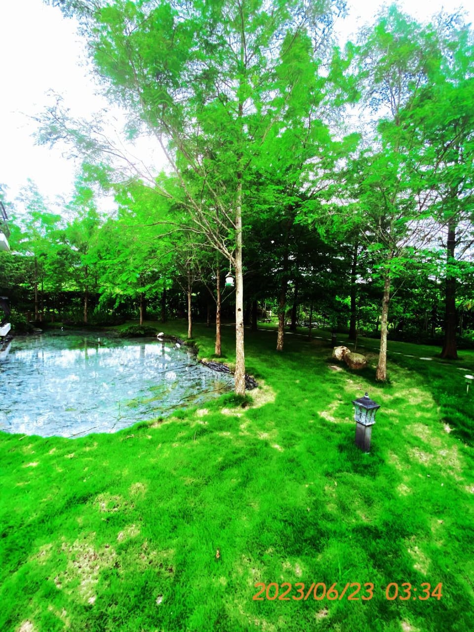 Garden view