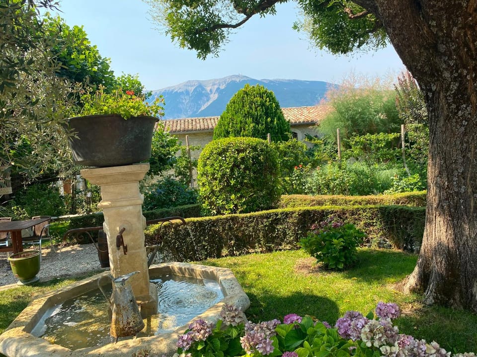 Garden, Garden view
