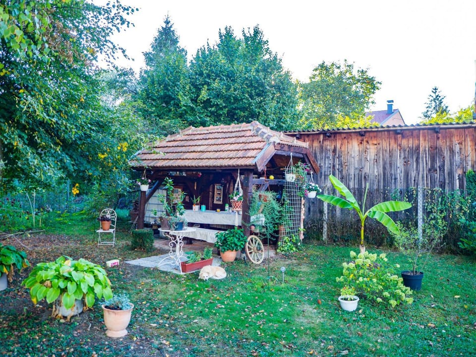 Apartment Dubovac Apartment in Slovenia