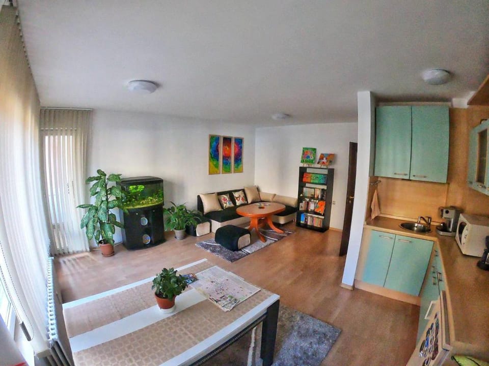 Library, TV and multimedia, Kitchen or kitchenette, Living room, Seating area, Dining area
