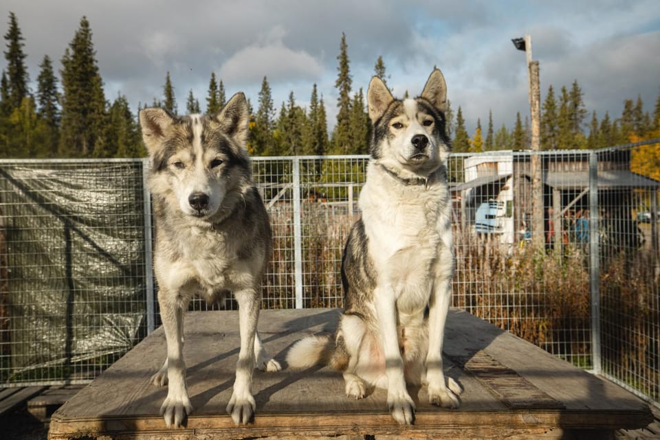JVT Cabins Cabin in Norrbotten County, Sweden