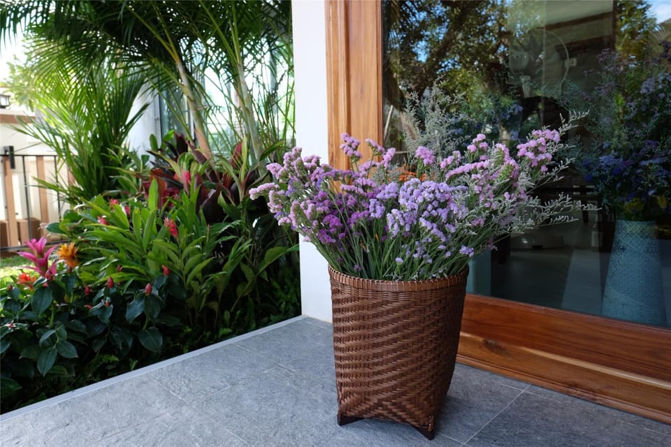 Garden view
