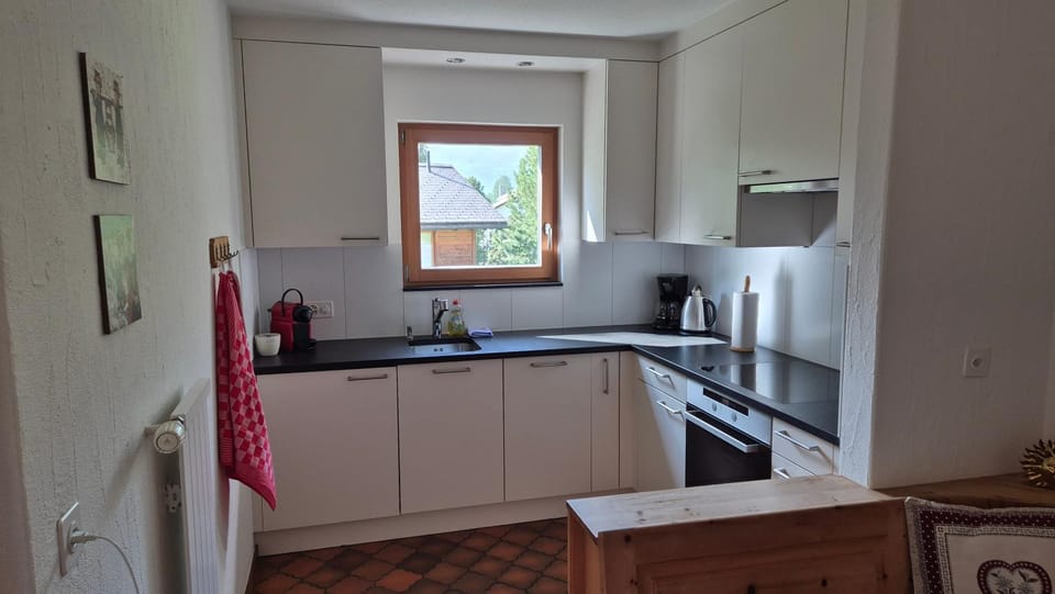 Kitchen or kitchenette, dishwasher, oven, stove