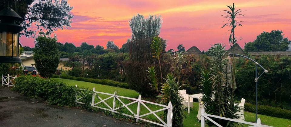 Natural landscape, Garden, Seating area, Garden view, Sunset