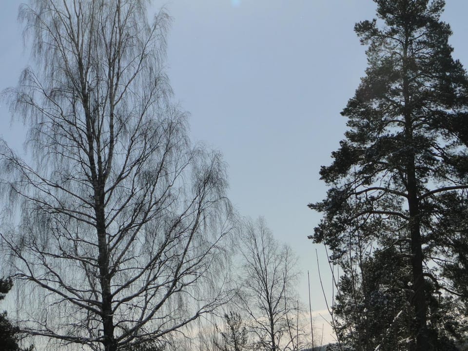 Day, Natural landscape