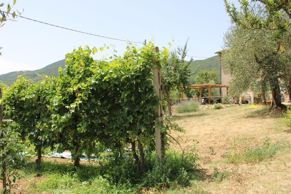 Alle Preci Country house House in Umbria