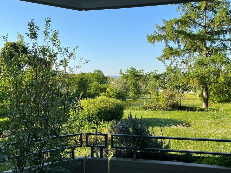 Patio, View (from property/room), Balcony/Terrace