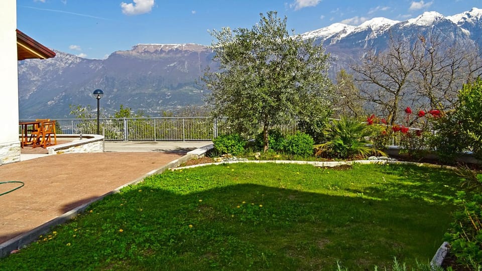 Patio, Garden, Garden view