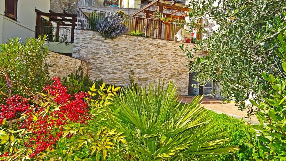 Patio, Garden, Garden view