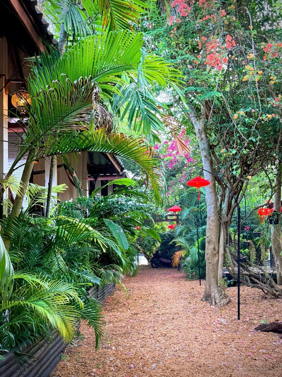 Day, Natural landscape, Garden, Garden view
