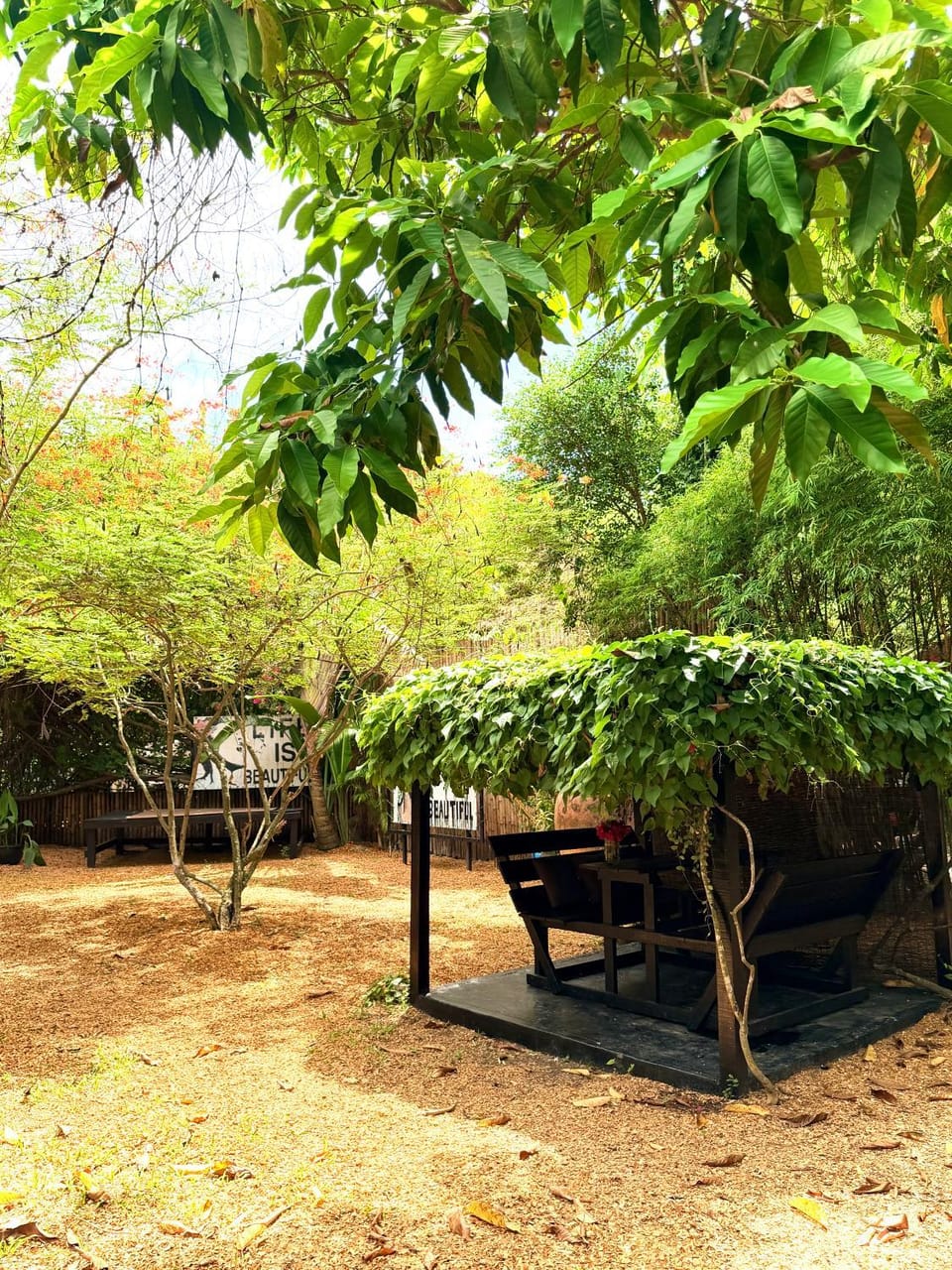 Day, Natural landscape, Garden, Garden view