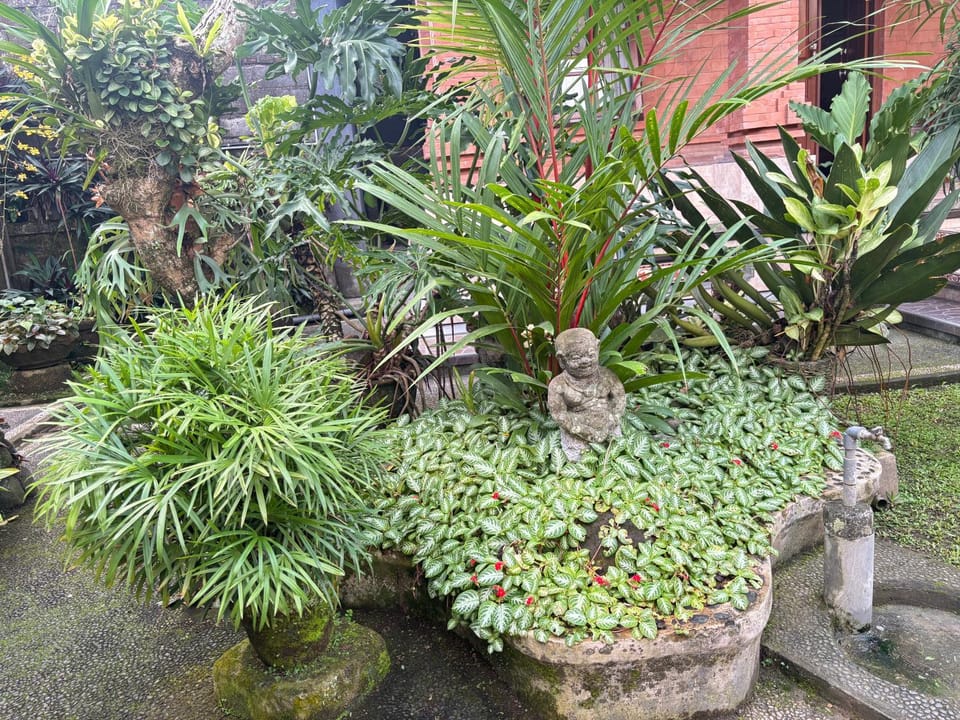 Yumi House Bed and Breakfast in Ubud