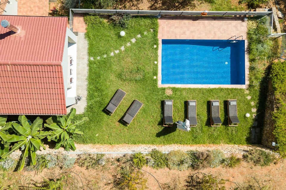 Property building, Spring, Day, Garden, Garden view, Pool view, Swimming pool, sunbed