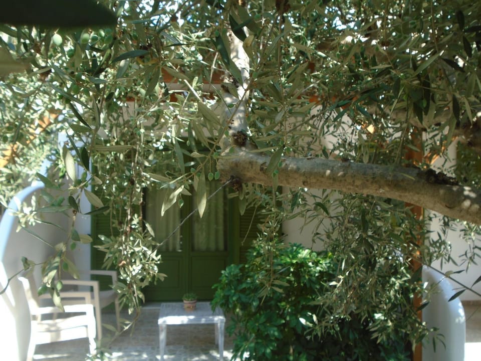 Garden, Balcony/Terrace, Garden view