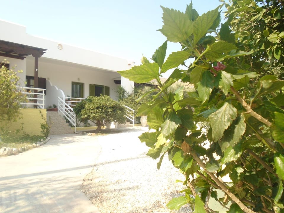 Facade/entrance, Garden