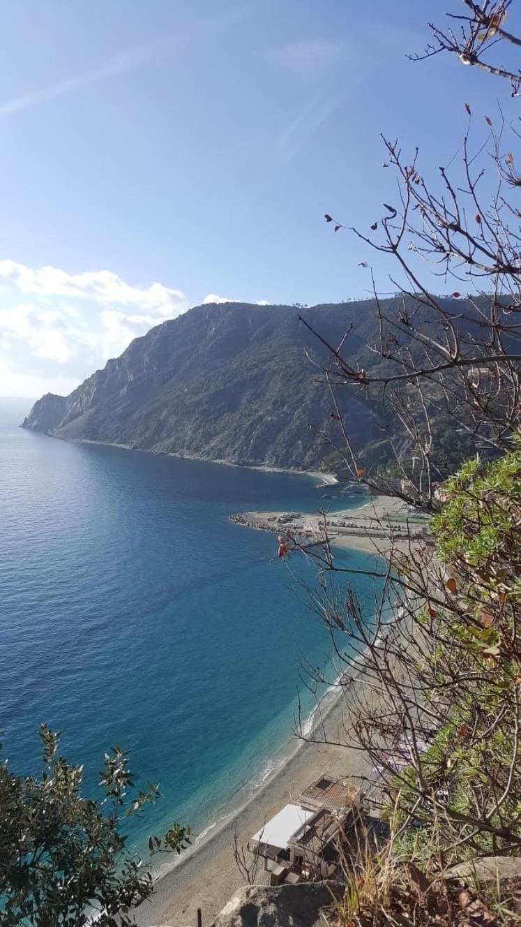 Natural landscape