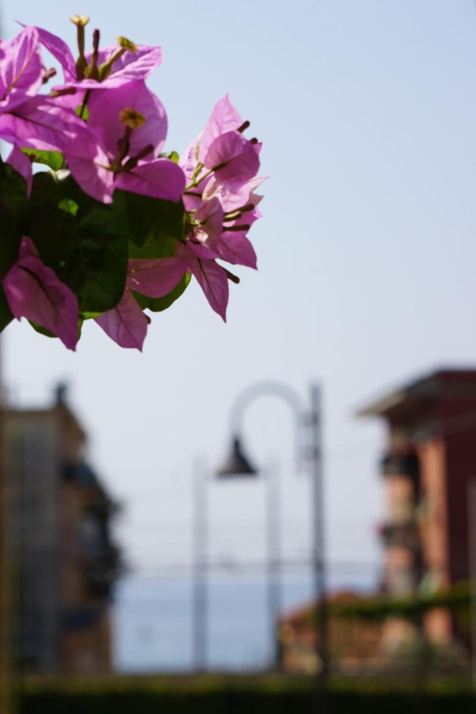 Appartamento LE CONCHIGLIE Monterosso al mare Apartment in Monterosso al Mare