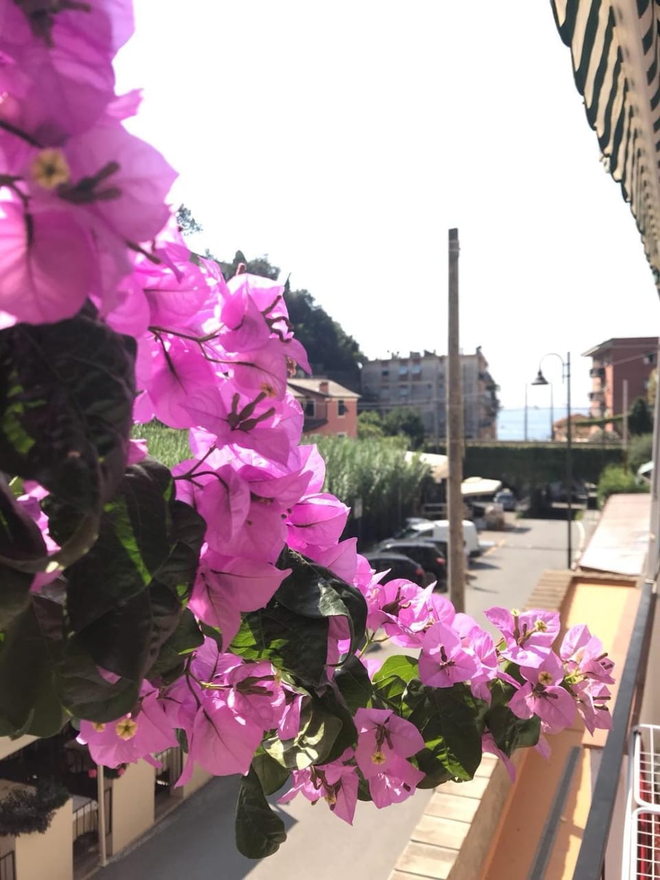 Balcony/Terrace, Street view