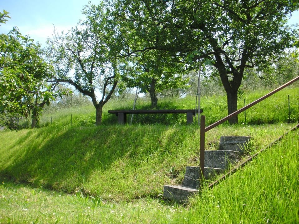 Day, Neighbourhood, Natural landscape, Other, On site, Area and facilities, Seasons, Location