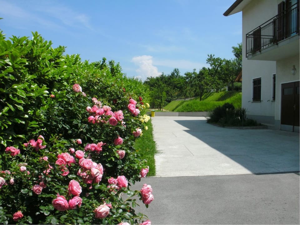 View (from property/room), View (from property/room), Other, Other, Area and facilities, Area and facilities