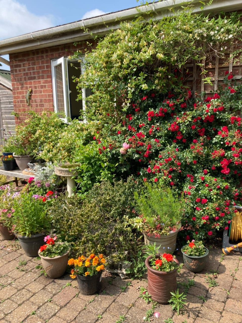 The Buttery Bed and Breakfast in Brundall