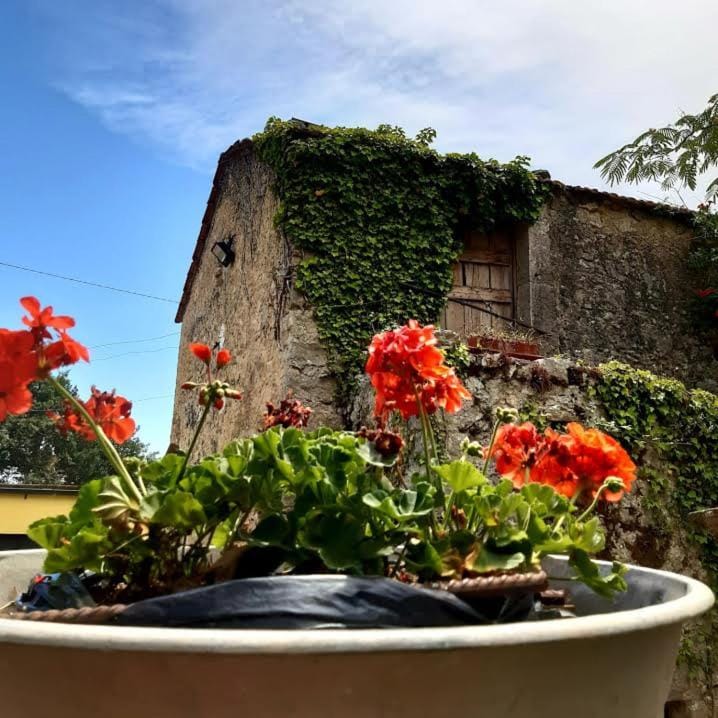 Affittacamere Varone Bed and Breakfast in Molise, Italy