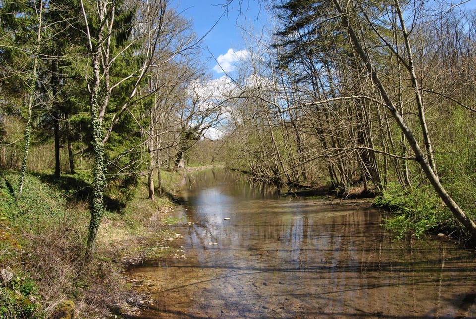 River view