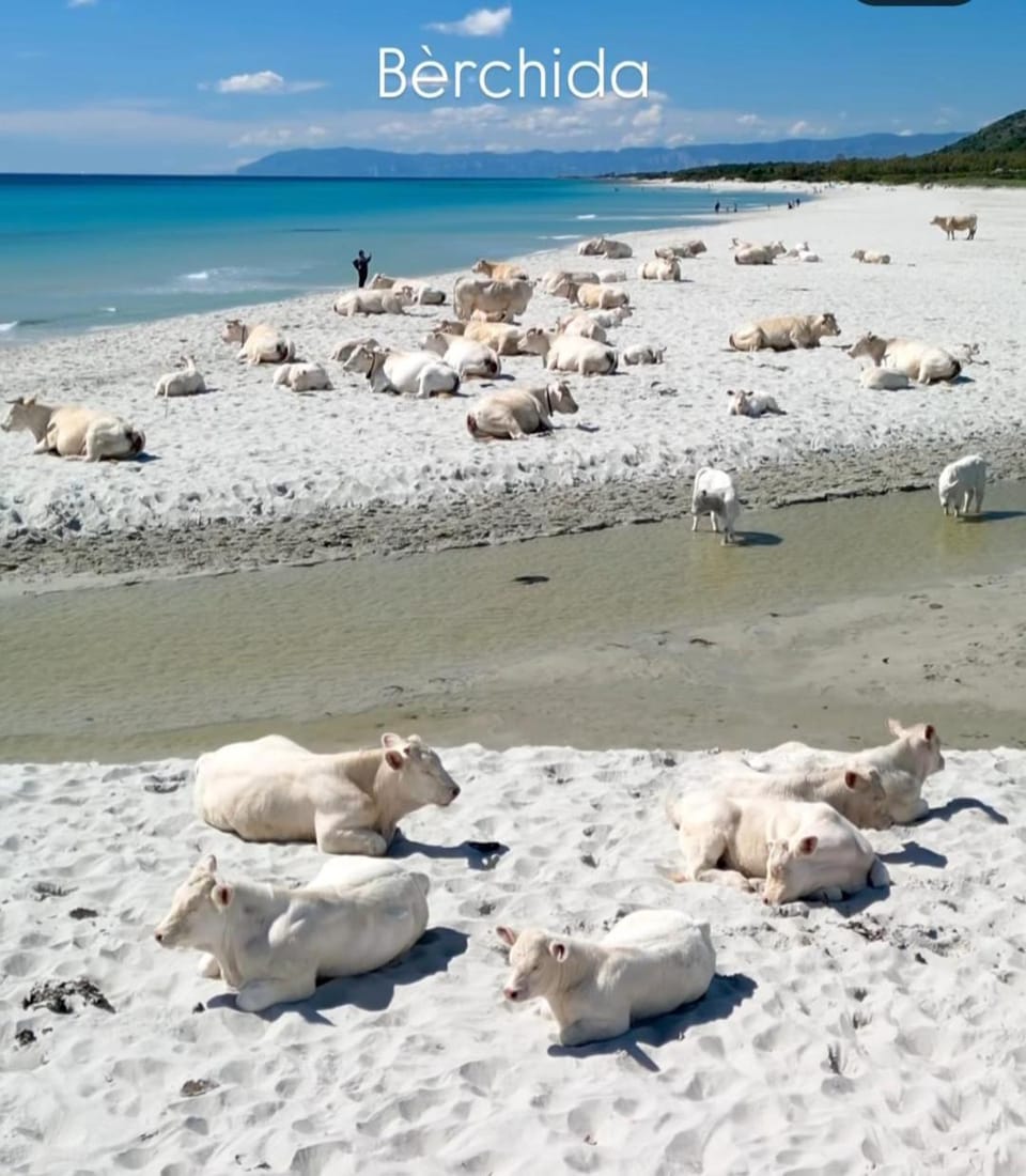 La grazia in qualche modo Bed and Breakfast in Siniscola