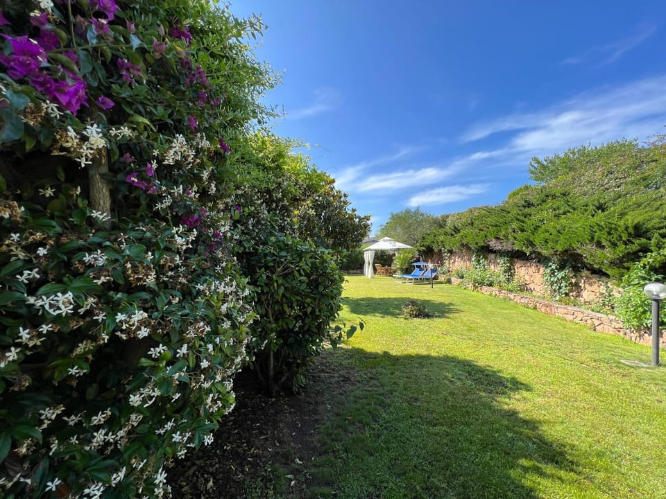 Garden, Garden view