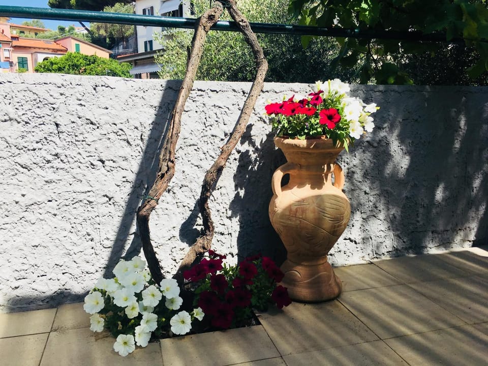 Garden, Decorative detail