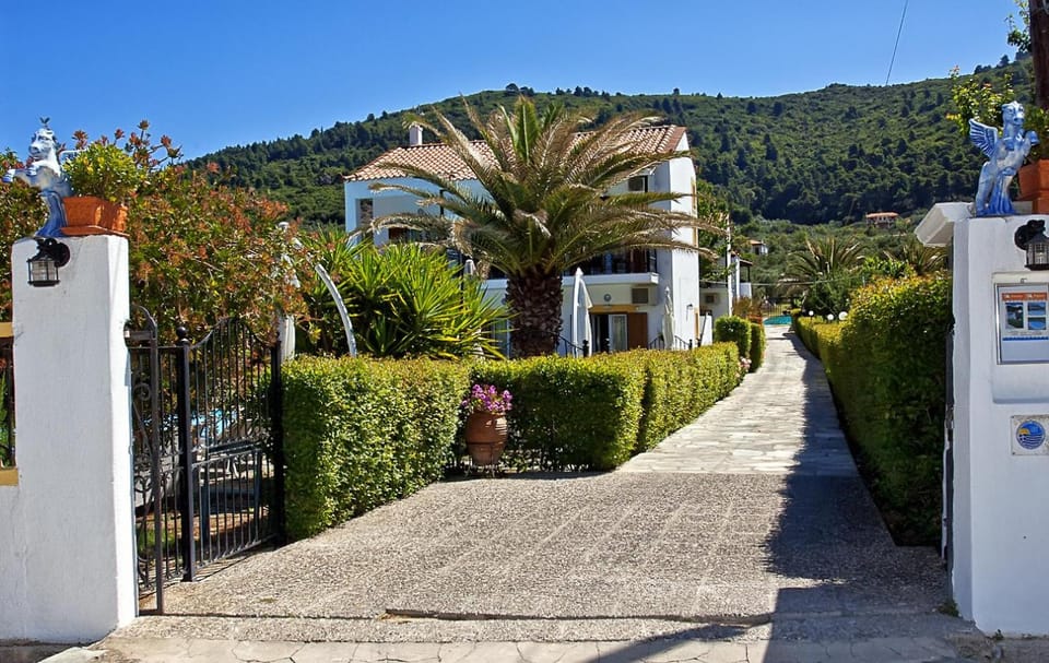 Garden, Swimming pool, Swimming pool