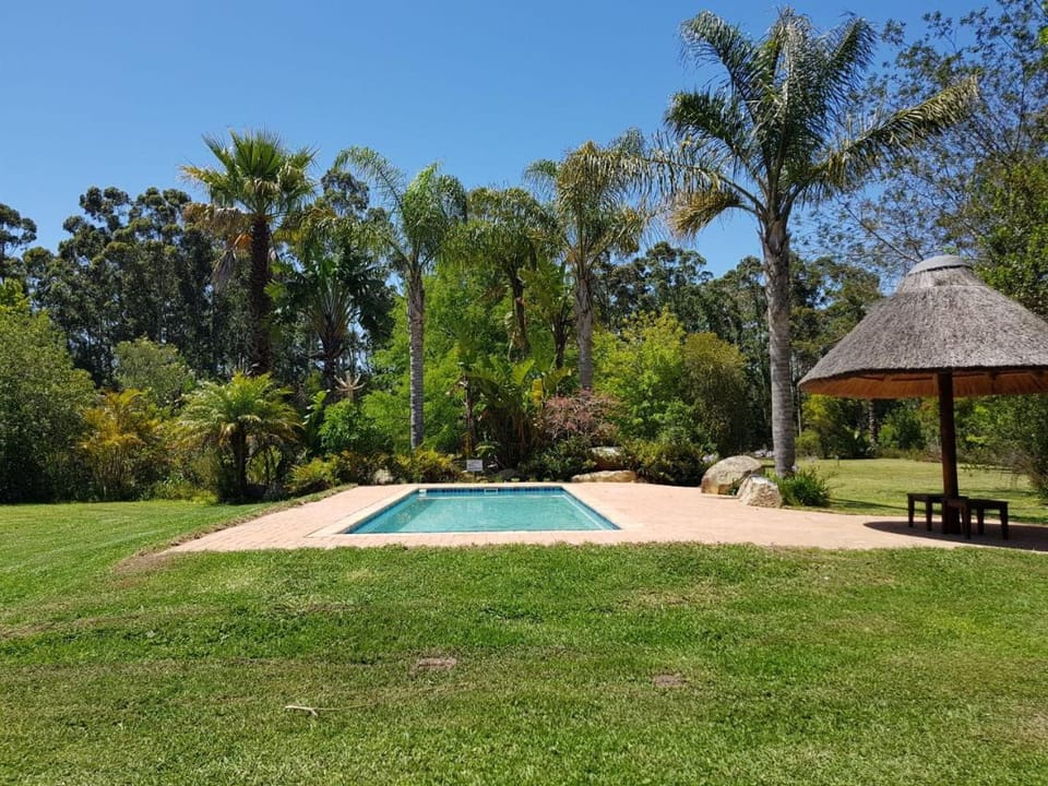 Garden, Swimming pool