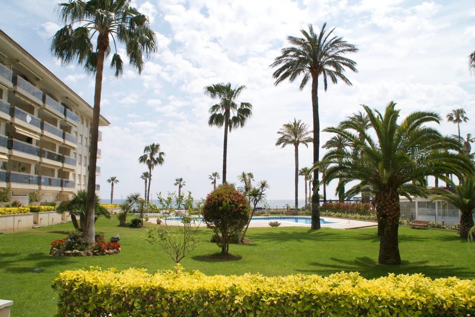 Garden, Swimming pool
