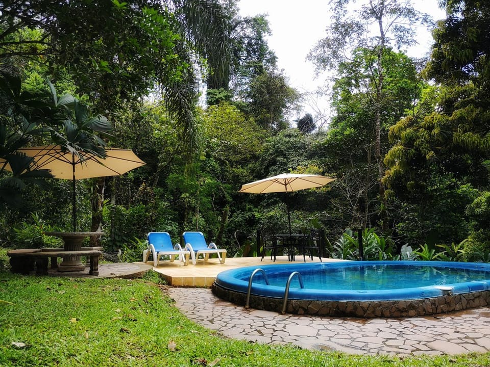 Swimming pool, Swimming pool