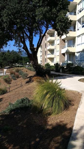 Garden view