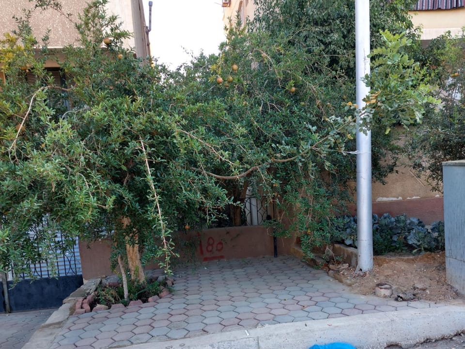 Safe House Apartment in Cairo Governorate