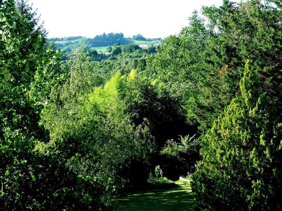 Garden, Garden view