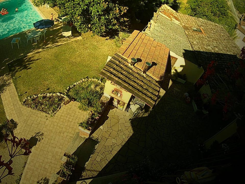 Garden, Pool view