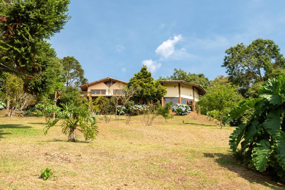 Garden, Lobby or reception