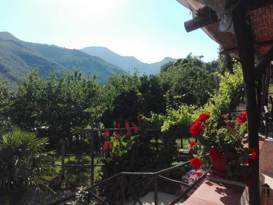 Casa Panoramica Vintage House in Campania