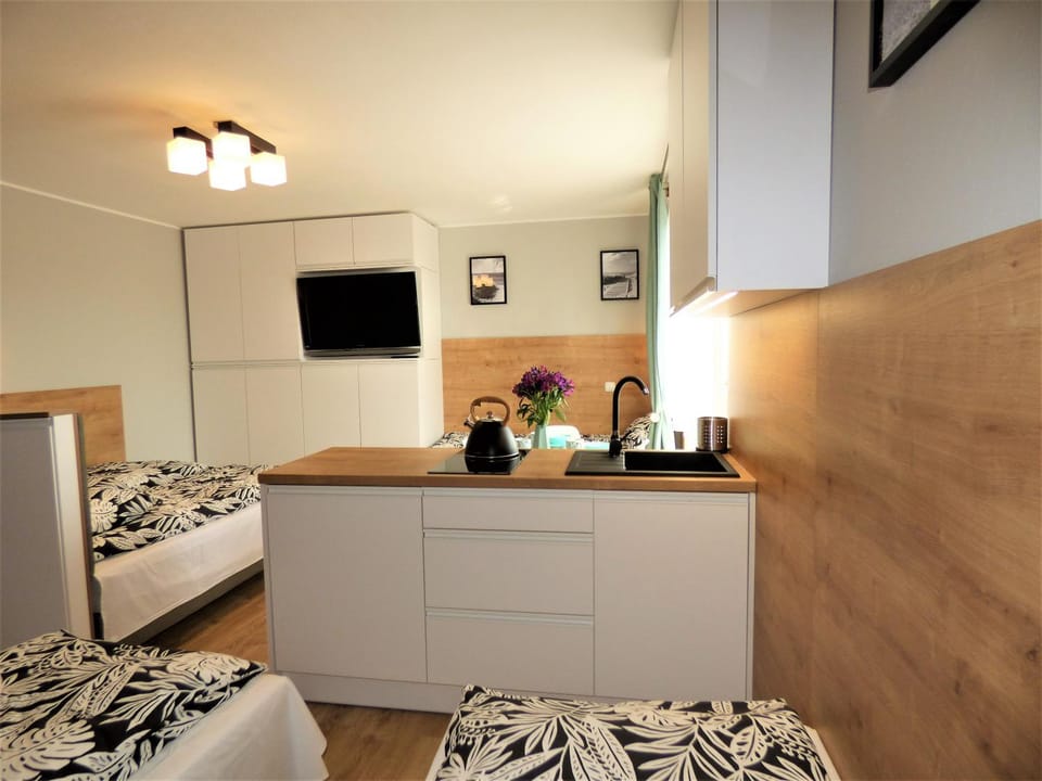 Kitchen or kitchenette, Photo of the whole room