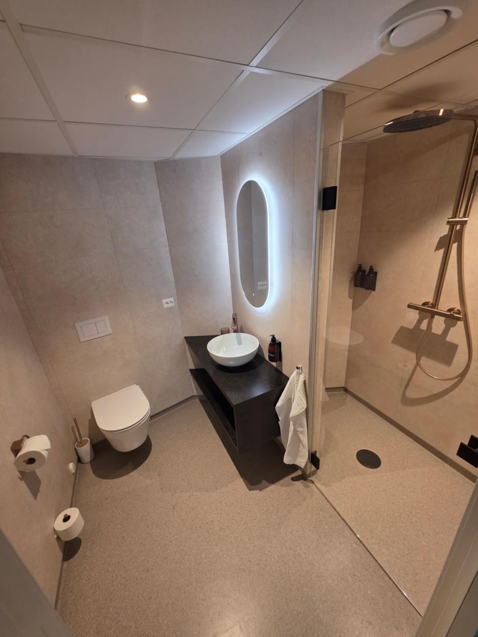 Shower, Toilet, Bathroom, towels